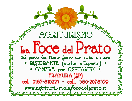 Logo ufficiale